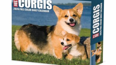 Just Corgis Desk Calendar 2026