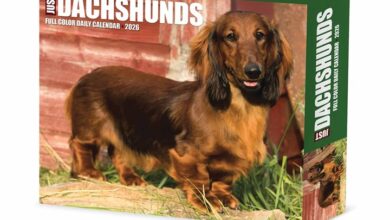 Just Dachshunds Desk Calendar 2026
