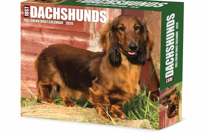 Just Dachshunds Desk Calendar 2026