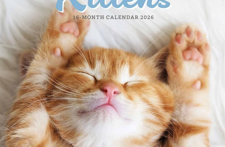 Kittens Mini Calendar 2026