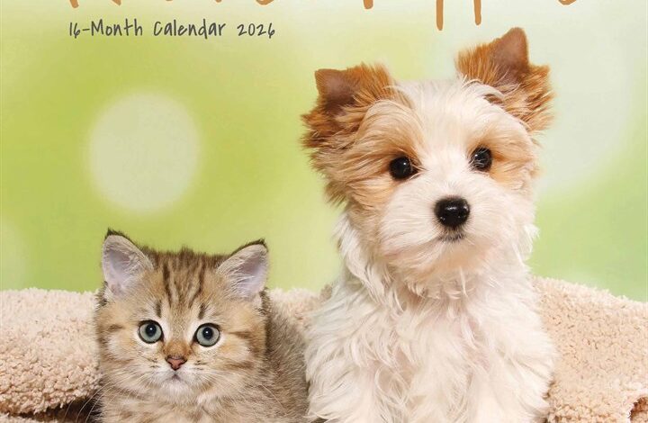 Kittens & Puppies Mini Calendar 2026