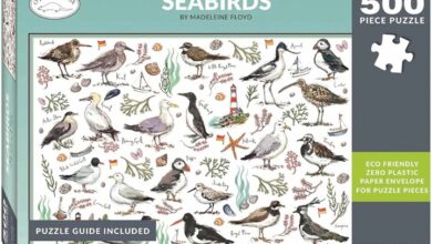 Madeleine Floyd Seabirds Jigsaw