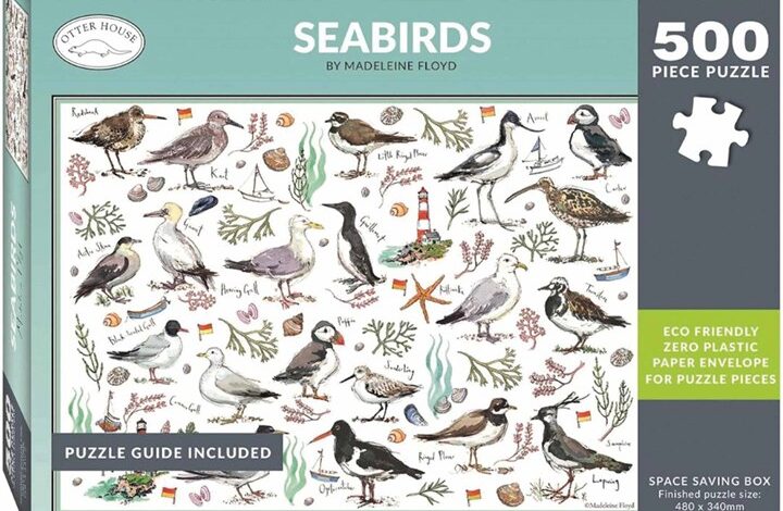 Madeleine Floyd Seabirds Jigsaw