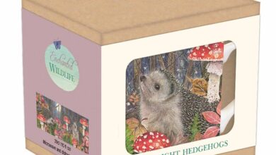 Moonlight Hedgehogs Tarka Mug