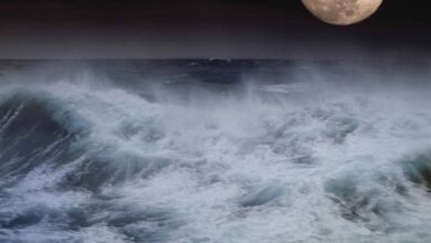 Moonstruck Calendar 2026