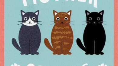 Mother of Cats Coaster