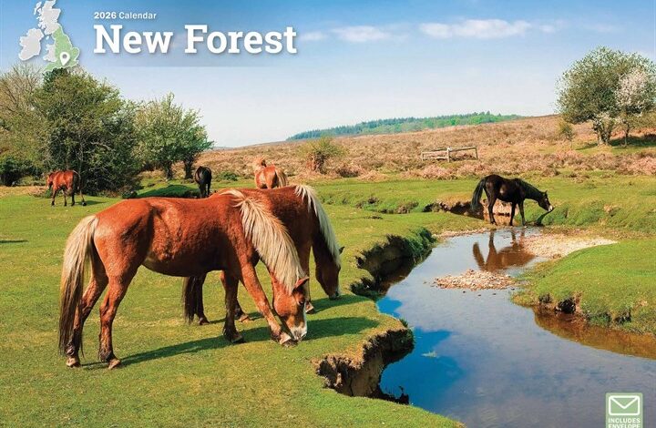 New Forest A4 Calendar 2026