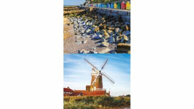 Norfolk Slim Calendar 2026