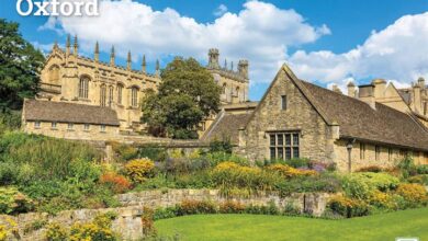 Oxford A4 Calendar 2026