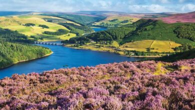 Peak District Calendar 2026