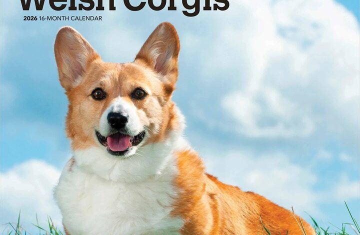 Pembroke Welsh Corgis Calendar 2026