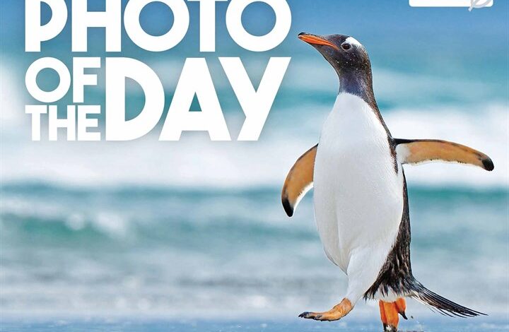 Photo Of The Day Desk Calendar 2026