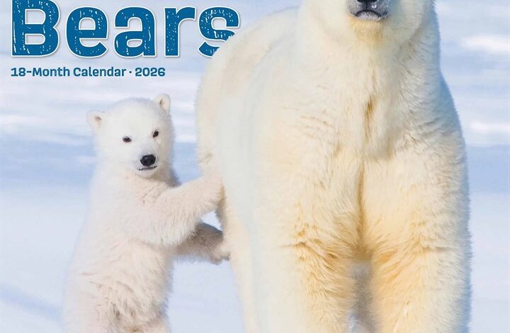Polar Bears Calendar 2026