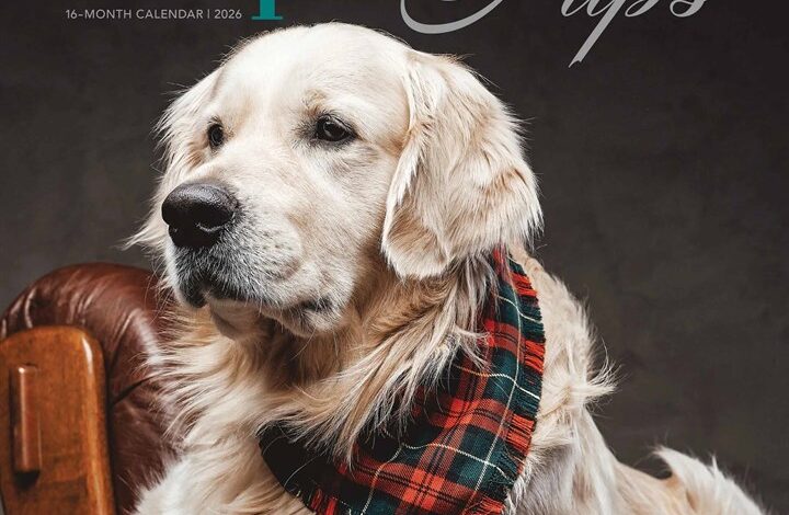 Proper Pups Calendar 2026