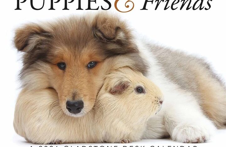 Puppies & Friends Desk Calendar 2026
