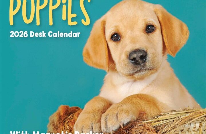 Puppies Mini Desk Calendar 2026