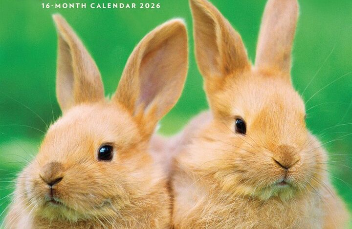 Rabbits Calendar 2026