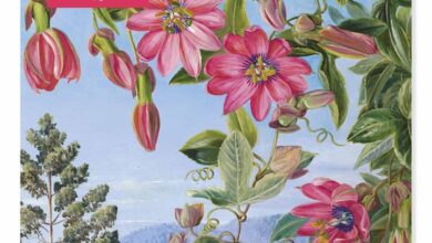 Royal Botanic Gardens Kew