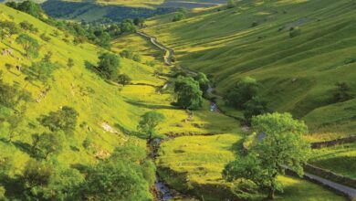 Rural Britain Calendar 2026