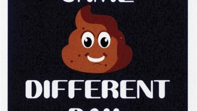 Same Sh*t Different Day Coaster