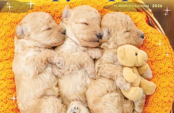Sleepy Puppies Calendar 2026