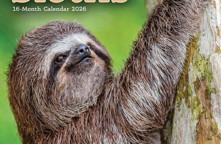 Sloths Mini Calendar 2026