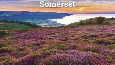 Somerset A5 Calendar 2026