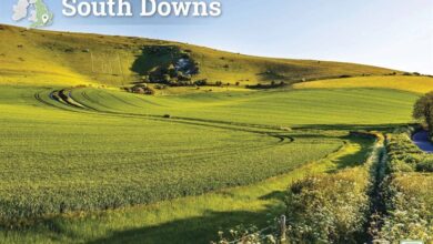 South Downs A4 Calendar 2026
