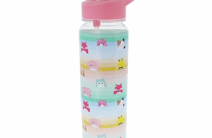 Squishmallows Water Bottle
