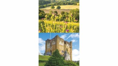 Surrey Slim Calendar 2026