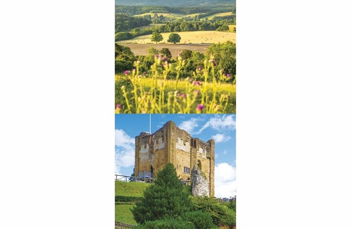 Surrey Slim Calendar 2026