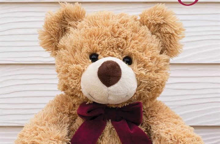 Teddy Bears Calendar 2026