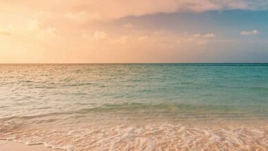 Tranquility Calendar 2026