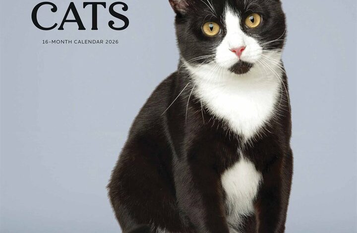 Tuxedo Cats Calendar 2026