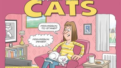 Wacky World of Cats A4 Calendar 2026