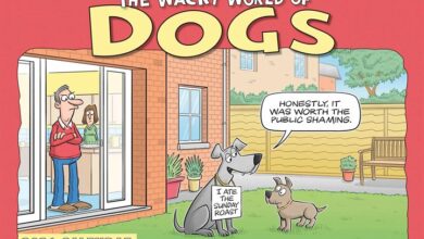 Wacky World of Dogs A4 Calendar 2026