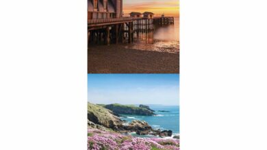 Wales Slim Calendar 2026