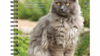 What Cats Teach Us A5 Diary 2026