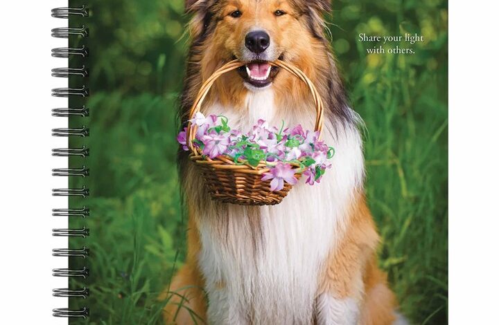 What Dogs Teach Us A5 Diary 2026