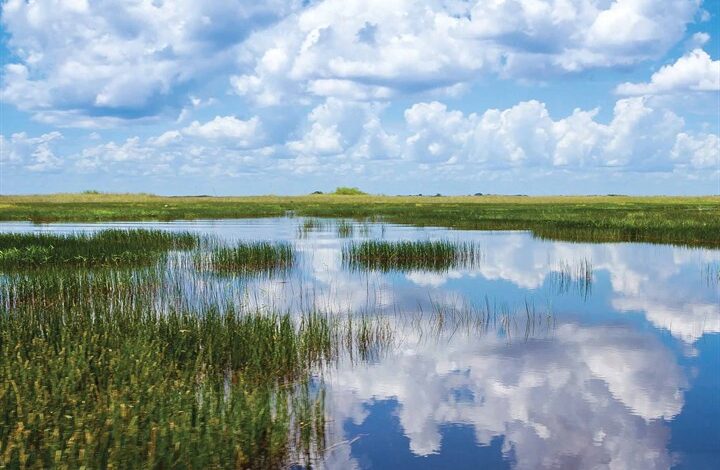 Wild & Scenic Florida Calendar 2026