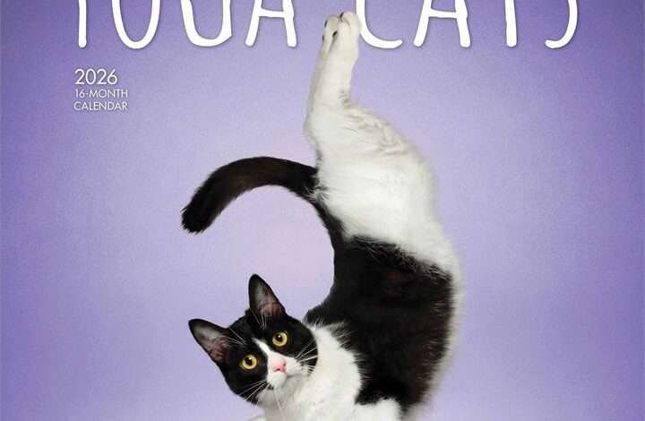 Yoga Cats Calendar 2026
