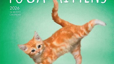 Yoga Kittens Mini Calendar 2026