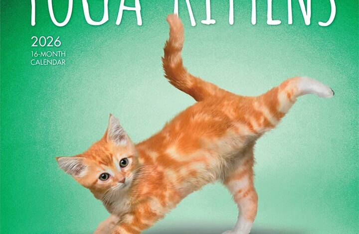 Yoga Kittens Mini Calendar 2026