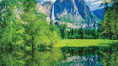 Yosemite Calendar 2026