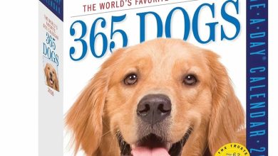 365 Days Of Dogs Desk Calendar 2026