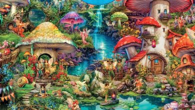 Aimee Stewart Calendar 2026