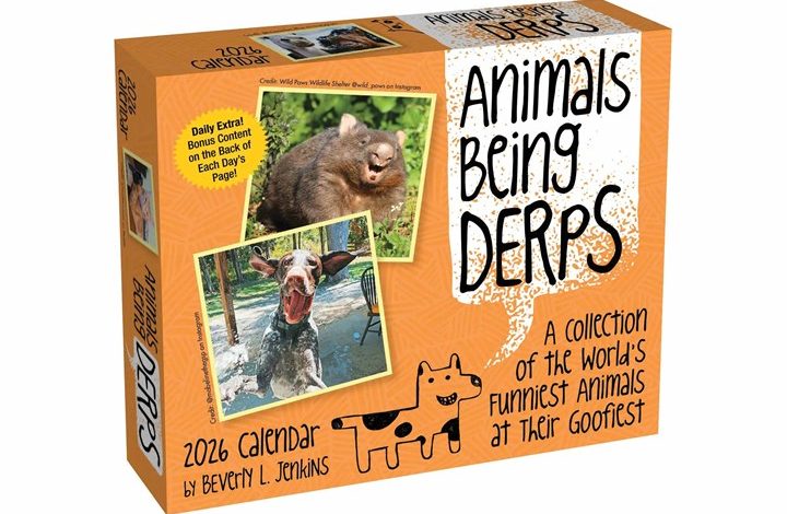 Animals Being Derps Desk Calendar 2026