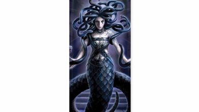 Anne Stokes Slim Calendar 2026