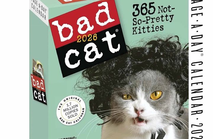 Bad Cat Desk Calendar 2026