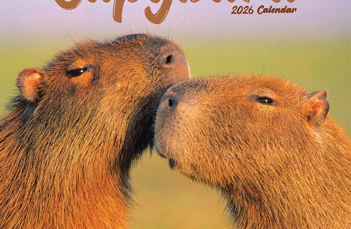 Capybara Calendar 2026